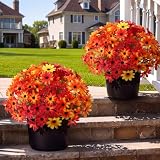 Tiangrid 2 Set Artificial Mums 15.7' Orange Fall Daisy for Outdoor Decor