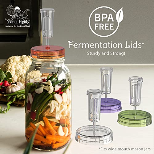 Year of Plenty BPA-Free, Clear Fermentation Lids | 4-Pack | for Making Sauerkraut in Wide Mouth Mason Jars | Includes Instructions, Recipe and Gift Box for Storage… (Clear) - Thumbnail 2