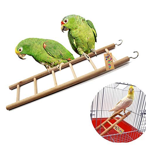 Western Era 6 Stairs Fun Natural Wooden Ladder Toy for Training, with Hooks, Designed for Birds, Parrot, Budgies and Other Small, Medium, Large Bird (30cm) 4
