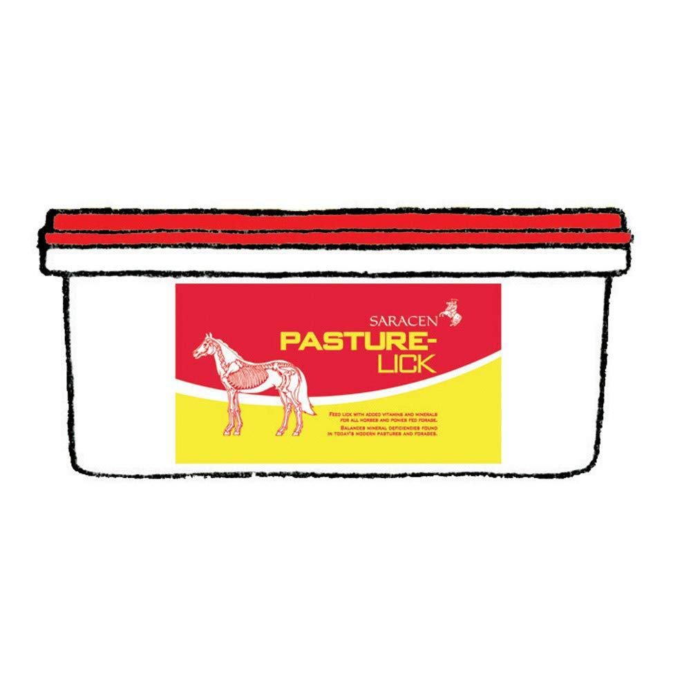 Saracen Pasture-Lick for Horses 10kg