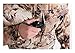 SITKA Men's Hunting Windproof Gore-Tex Camo Dakota Hoody, Optifade Waterfowl, Large