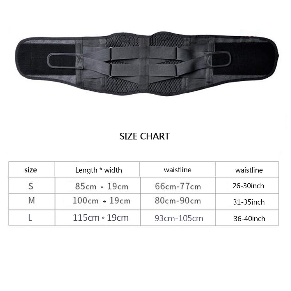 Faja Lumbar Fitness, cinturón de Cintura con calefacción eléctrica, para Hernia de Disco, ciática, escoliosis, estenosis espinal, con Almohadilla Lumbar extraíble,L