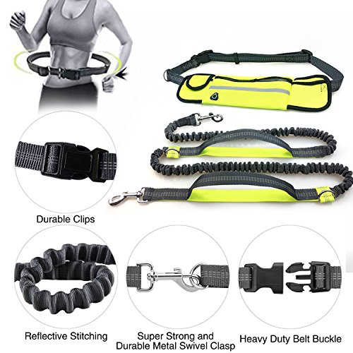 Guinzagli per cani, guinzaglio per cani