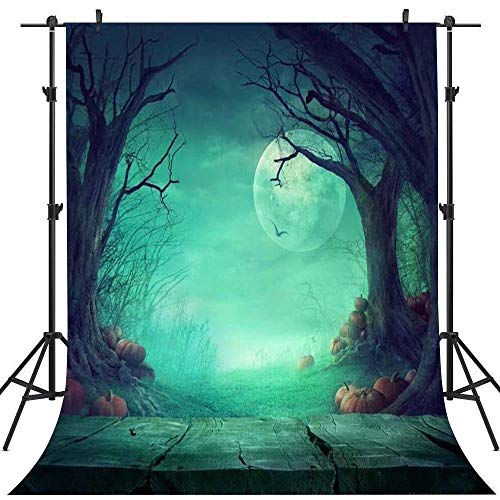 Mehofoto Fotografía de Halloween telón de fondo 5x7ft Abandonado Fotografía calabaza Bosque