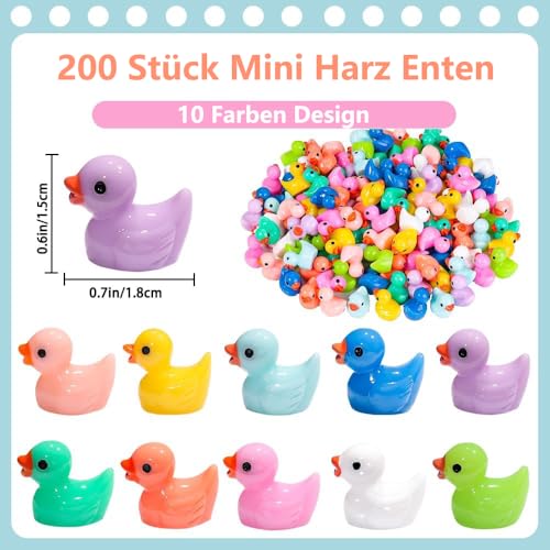 DIYDEC 200 Stück Mini Enten Harz, 10 Farben Mini Duck Figuren Miniatur Enten kleine Bunte Enten für Dekoration von Miniatur-Landschaftsgärten, Bonsai, Fischbecken und Aquarien verwendet.