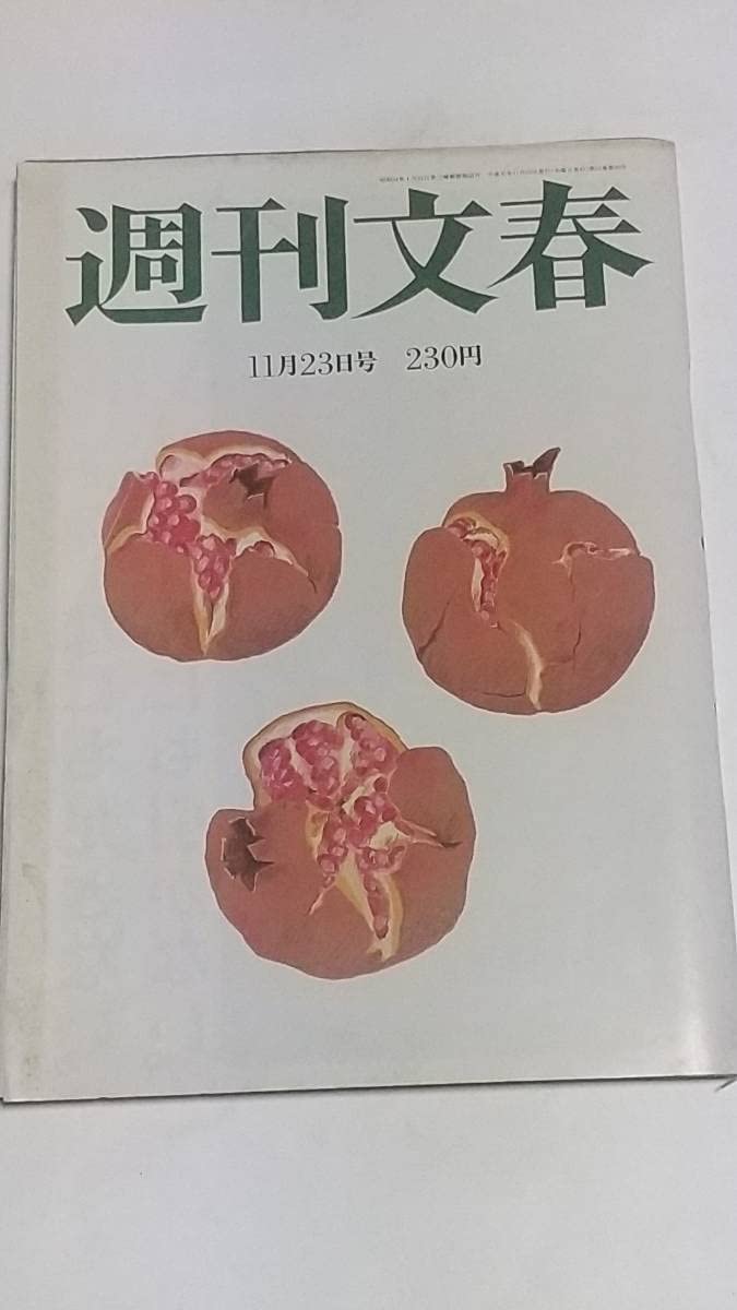 Amazon.co.jp: 10 89 11 23 Weekly Bunshun Murakami Reina Kenji Sawada Kyoko  Koizumi Singer Men : Industrial & Scientific