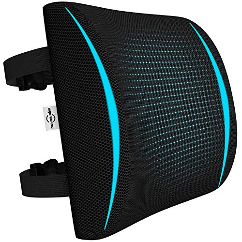 AMERIERGO Lumbar Support Pillow, Memory Foam Back Cushion with Mesh Cover Double Adjustable Straps for Office Chair Car Seat