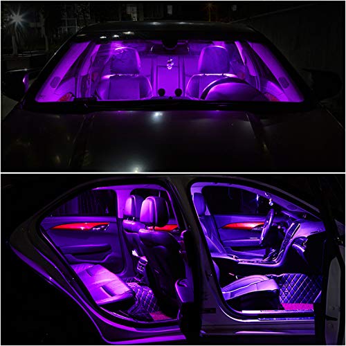 XINYANG 2PCS DE3175 Bombillas LED para Auto Moradas miniatura 6