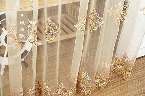 Aifish Delicate Embroidered Sheer Lace Curtain Drapes European Style Home Decor Window Treatment Floral Tulle Curtains Room Divider For Living Room Bedroom Rod Pocket Top 1 Panel W39 X L63 Inch #TOP3