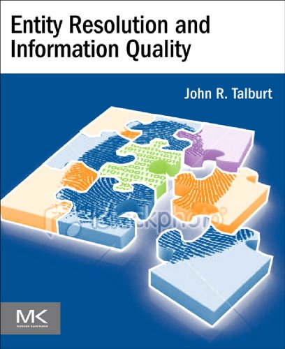 Télécharger Entity Resolution and Information Quality (English Edition) Francais PDF