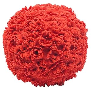 Lanco Sensory Ball Medium – Squeaky Dog Ball – Squishy – Soft – Sensory – Indoor Play – Natural Rubber/Latex – Complies with Same Safety Standards as Baby Toys – 4 inches