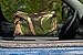 Produktbild Eckla Bean-Bag Chariot-kamerahalter Eagle Adulte Unisexe, Vert, l