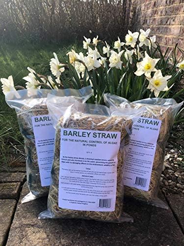 3 x nets of barley straw for natural algae treatment in ponds direct from farm