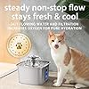 Veken Innovation Award Winner Stainless Steel Cat Water Fountain, 108oz/3.2L Automatic Pet Fountain Dog Water Dispenser with 3 Replacement Filters & Silicone Mat for Cats, Dogs, Multiple Pets (Silver) #4