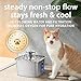 Veken Innovation Award Winner Stainless Steel Cat Water Fountain, 108oz/3.2L Automatic Pet Fountain Dog Water Dispenser with 3 Replacement Filters & Silicone Mat, Gifts for Cats, Dogs (Silver)