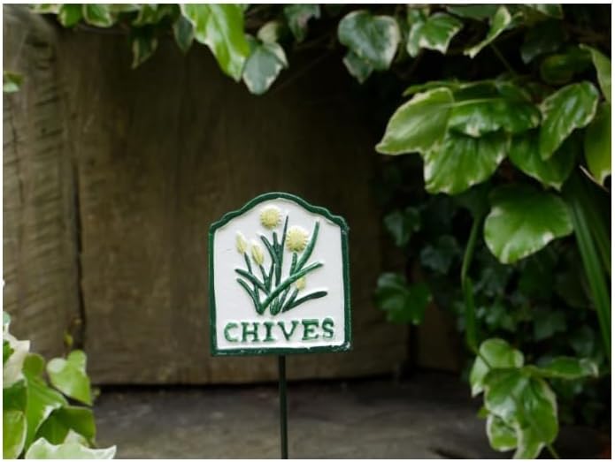 Metal Herb Markers Plants Labels Garden Sign Outdoor Herbs Tags Heavy Duty (Chives), youth large / 11-13, White