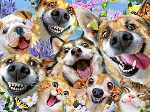 Rompecabezas Ceaco - Companion Selfies - 500 piezas para adultos | Arte de Howard Robinson, fabricado en EE.UU., tablero reciclado, tamaño final 26 x 19 pulgadas, incluye póster miniatura 1