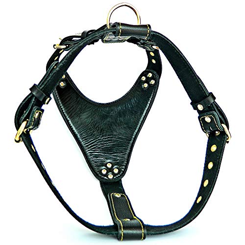 Bestia Genuine Leather Maximus Dog Harness. Big Dogs Only! Cane Corso, Rottweiler, Dogo Argentino, Presa, Mastiff, Bulldog. 100% Leather. Soft Padded Chest Plate. Handmade In Europe! #TOP1