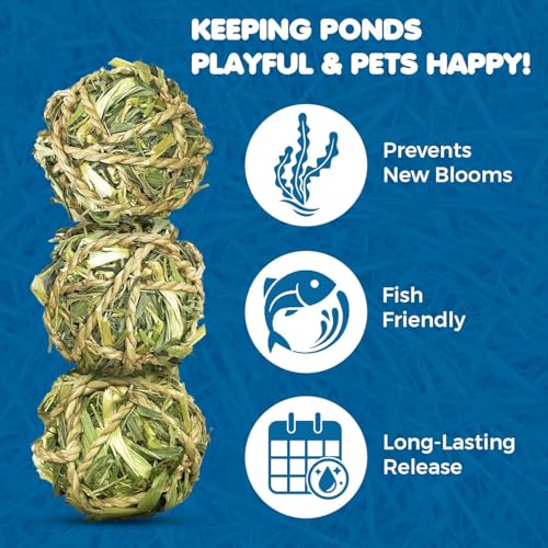 Image of SunGrow Assorted Rabbit & Cat Chew Balls, Teething Activity Toy for Pocket Pets, Improves Dental Health, Environment Friendly, Stress Reliever (Barley Grass Ball, 3 Pcs)