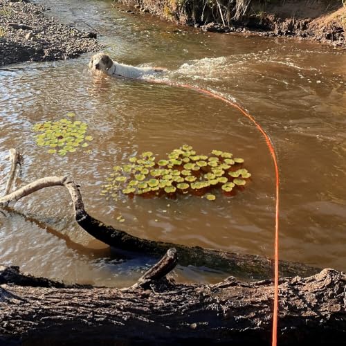 Schwimmende Schleppleine für Hunde | Robuste Wasserleine ohne Handschlaufe | Schwimmt auf dem Wasser | Verschiedene Längen, 6 mm Durchmesser | Handgefertigt in Deutschland (10m)