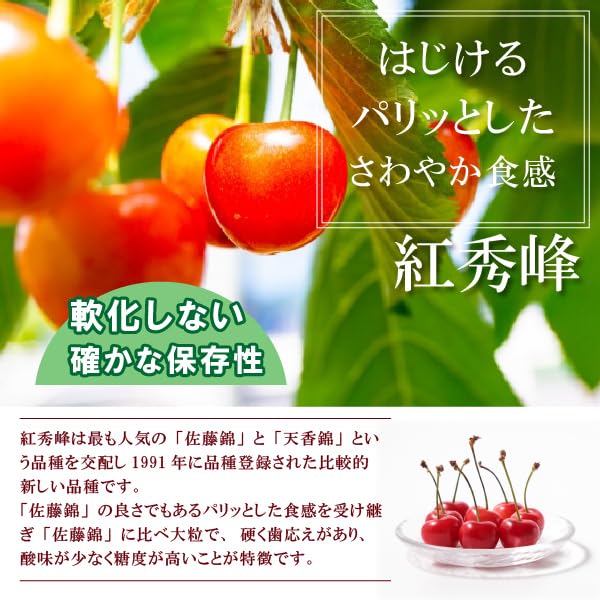 Amazon.co.jp: 山形県東根市産 さくらんぼ 紅秀峰 訳あり Mサイズ バラ