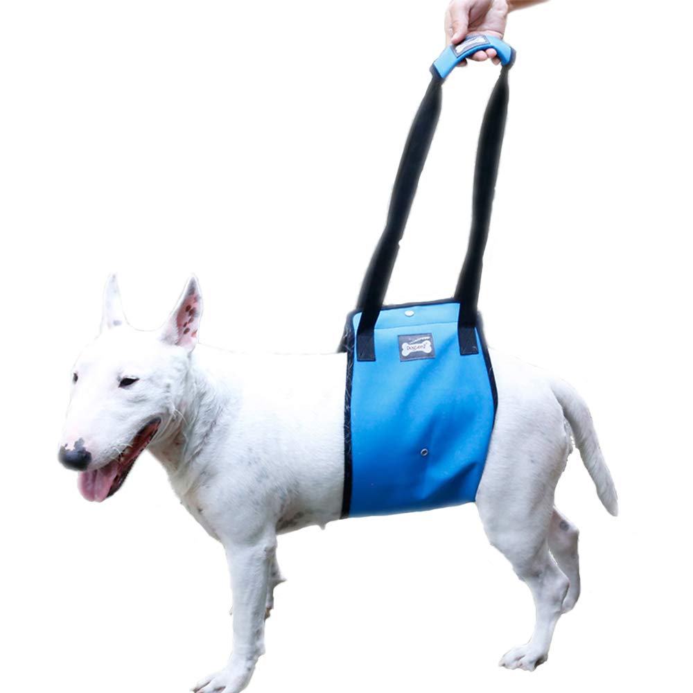 Buy Dog Support Harness, Dog Lift Harness with Adjustable Support Sling