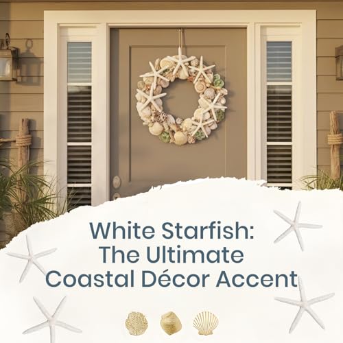 Estrellas de mar blancas Nautical Crush Trading de 15-20 cm para decoración marina 6