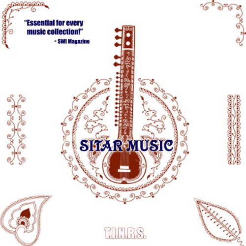  Foo Fighters Sitar