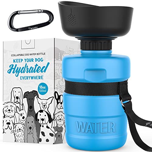 Best Dog Water Bottles 2022 TopRated Pet Travel Bowls Retrievist