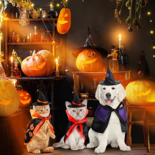 6 piezas Disfraz Halloween para gatos con capa y sombrero miniatura 4