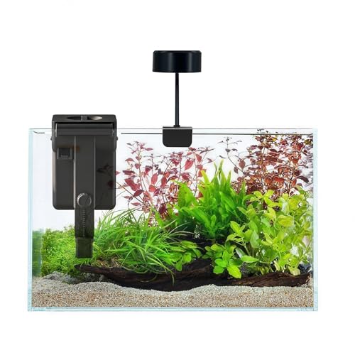 Image of Fish Tank Starter Kits, Low Iron Glass Aquarium with Filter, Led Light for Aquascape DIY Small Betta Fish Tank (6 Gallons)
