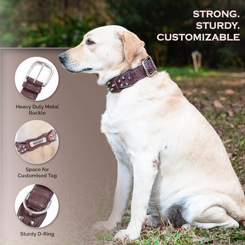 Image of Adil's Personalized Softy Leather Spiked Dog Collar- 1.5 Inch Wide Loop with Spikes Heavy Duty Soft Padded Neckbelt, Sturdy Buckle & D-Ring for Small, Medium & Large Dogs (Chestnut, S(12 inch-16 inch))