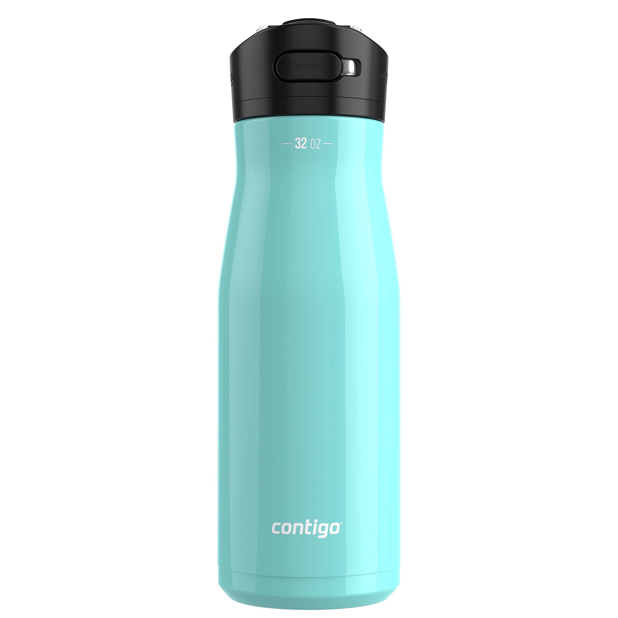Contigo Ashland Chill 2.0 Stainless Steel Water Bottle with Leak-Proof Lid and Angled Straw, Vaccum-Insulated Water Bottle with Handled Lid, 32oz Jade Vine