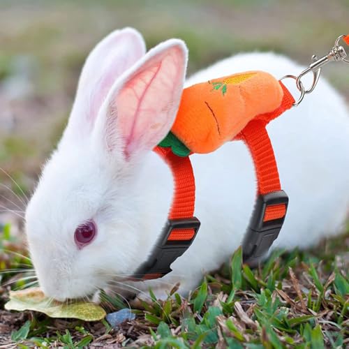 Image of 2PCS Rabbit Harness and Leash Adjustable Bunny Harness Leash Set Small Pet Cute Vest Harness Leash for Safety Walking Running for Bunny Cat Puppy Kitten Ferret (Red+Orange)