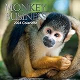 2024 Square Wall Calendar, Monkey Business, 16-Month Animals Theme with 180 Reminder Stickers (12 x 12 In)