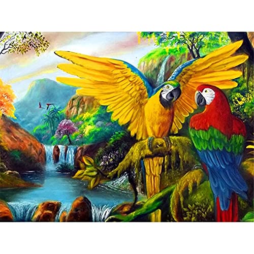 Peinture diamant 5d complet perroquet grand format broderie canevas adulte