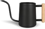 Arrosoir pour plantes d'intérieur, pot en métal en acier inoxydable de 35 oz/1000 ml avec bec long pour plantes d'intérieur, bonsaïs, fleurs de jardin décoratives (vert saga)