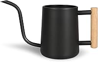LTSUMI 35oz Stainless Steel Watering Can with Long Spout - Indoor Houseplants, Bonsai, Outdoor Garden Decor (Black)