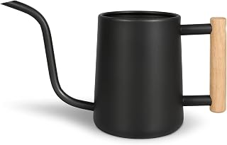 LTSUMI 35oz Stainless Steel Watering Can with Long Spout - Indoor Houseplants, Bonsai, Outdoor Garden Decor (Black)