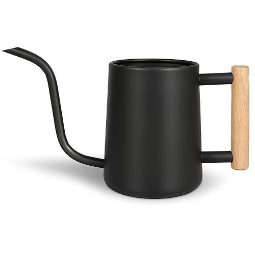 Watering Can for Indoor Plants, 35 oz/1000 ml Metal Stainless