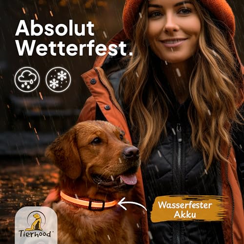 Tierhood Leuchthalsband Hund - Leuchthalsband für kleine und große Hunde - LED Hundehalsband Aufladbar - Langlebig, Wetterfest & Komfortabel - Ideal für Nachtspaziergänge - Orange, Größe S