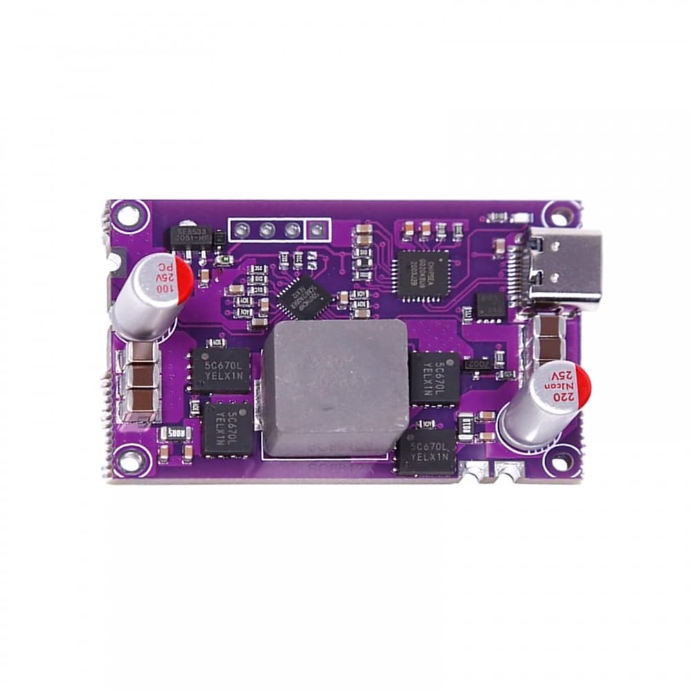 Module de Charge Rapide 120 W Bidirectionnelle Haute Puissance