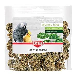 Kaytee Granola Bites with Super Foods Spinach and Kale for Pet Birds, Conure, Cockatiel, Lovebird, Parakeet, Amazon, African Grey, Ecletus, Pionus, Cockatoos and Macaws, 4.50 Ounce (Pack of 1)