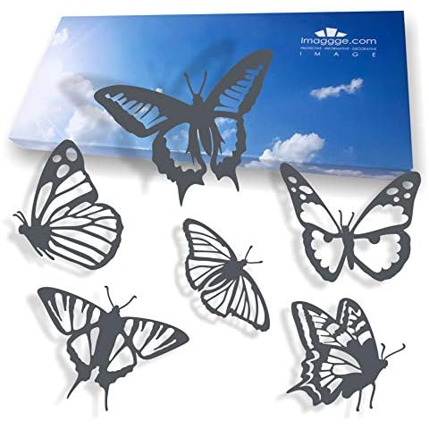 Autocollants anti-collision papillons - imaggge.com Cover