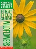 Wildflowers (National Audubon Society First Field Guides)