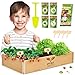 Mini Garten Kinder Komplettset - Gem&uuml;se Indoor Kr&auml;utergarten Geschenk Anzuchtset Pflanzen - Gartenset Kinder Anzuchtset - Komplettes Saatgut Pflanzenzucht Set