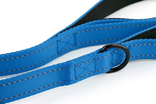 Primal Pet Gear Dog Leash 8Ft Long - Blue - Traffic Padded Two Handle - Heavy Duty - Double Handles Lead For Control Safety Training - Leashes For Large Dogs Or Medium Dogs - Dual Handles Leads #TOP7