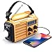 Weather Radio Raynic Solar Hand Crank Emergency Radio 5 Ways Powered AM/FM/SW/NOAA Weather Alert Portable Radio with Flashlight, Reading Lamp, Cellphone Charger and SOS Alarm (Yellow)