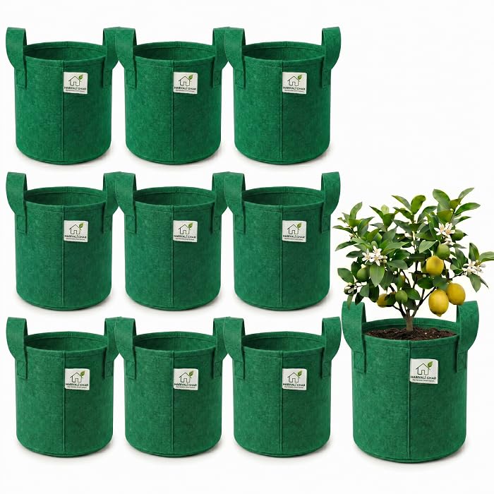 Image of 400 GSM Geo Fabric Round Grow Bags 9x9 Inch with Handle, Green Planting Bags for Terrace and Kitchen Gardening Pack of 10