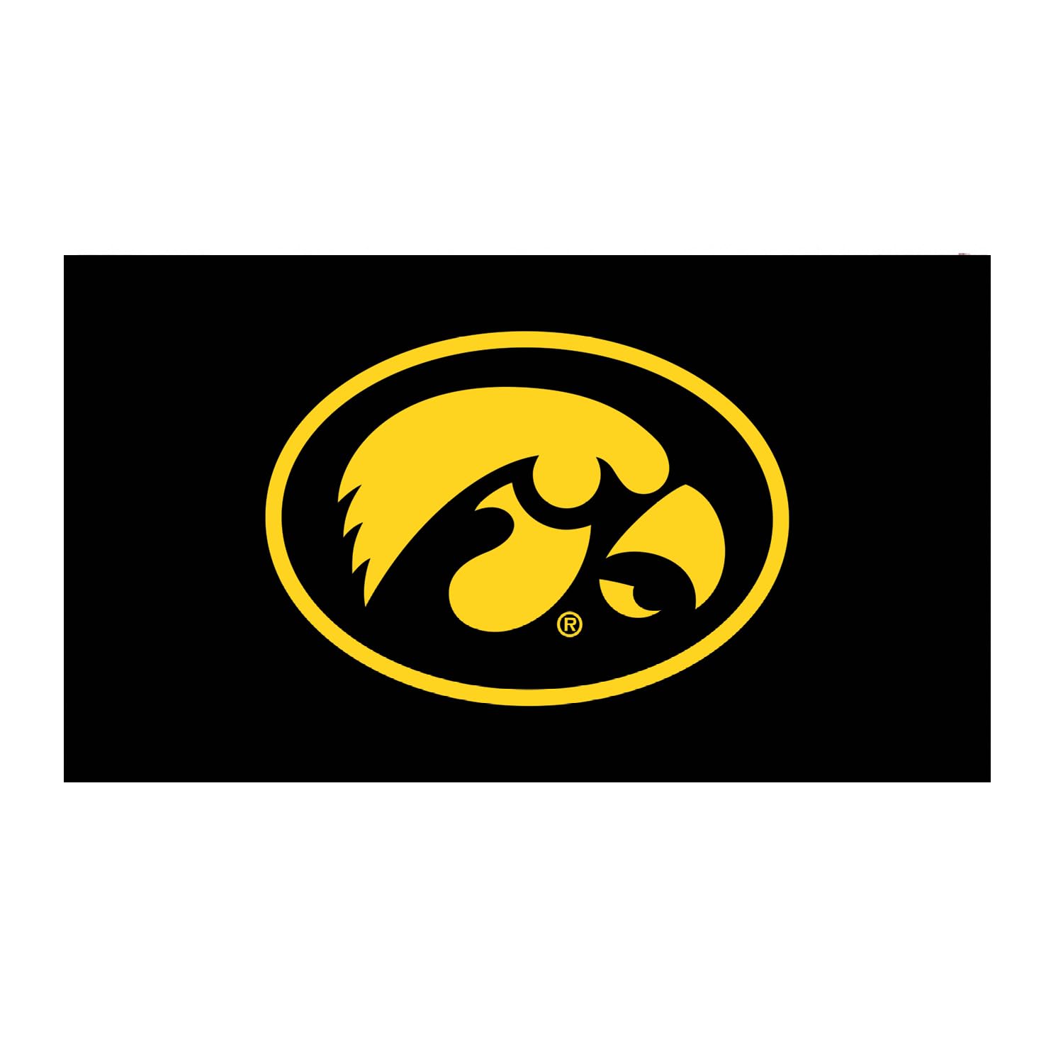 Team Sports America NCAA University of Iowa Sports Doormat | Indoor Outdoor Entrance | 28 x 16 Inches | Non-Slip Front Door Mats | Official Licensed |